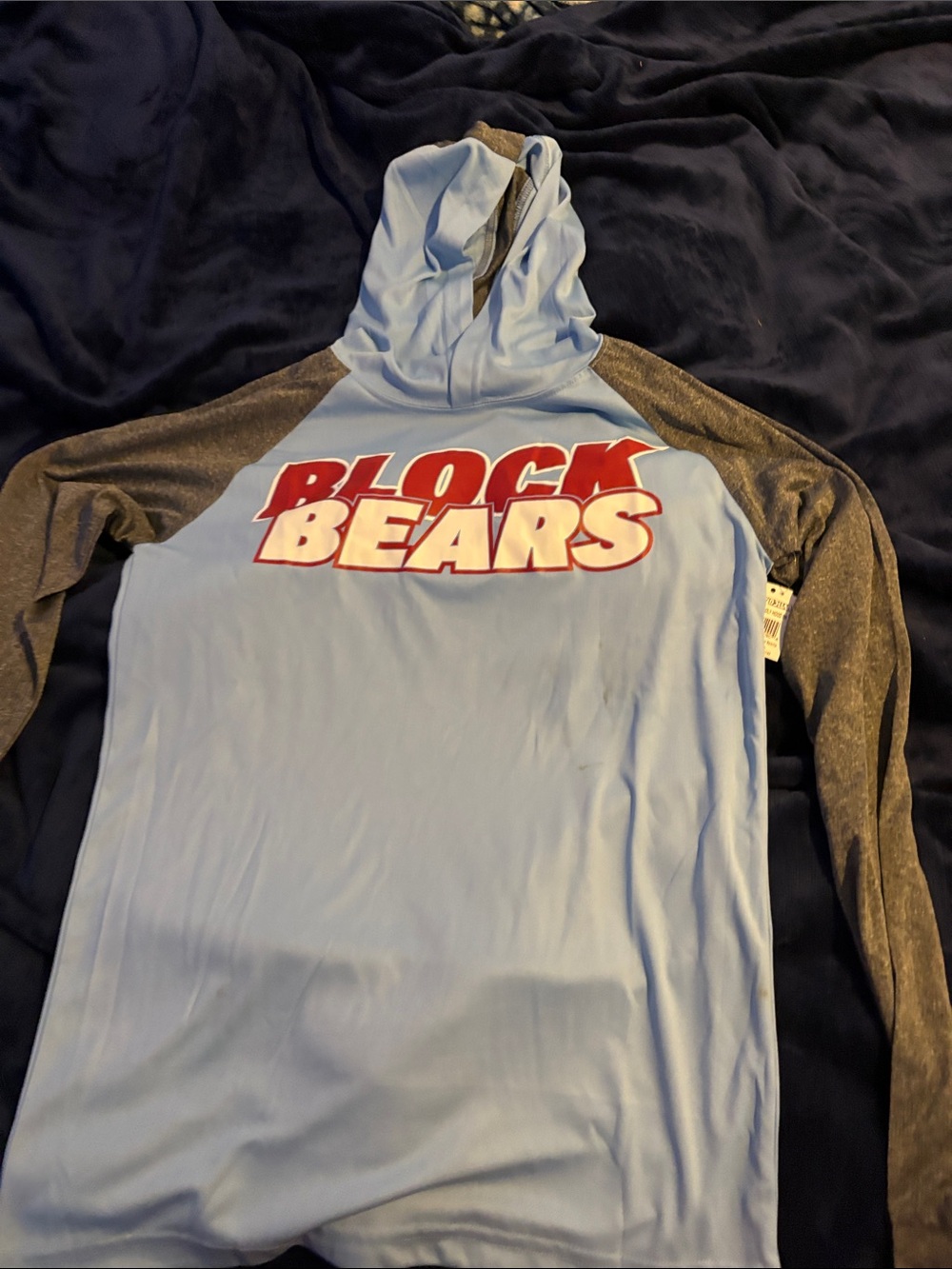 Light Blue "Block Bears" Hooded Raglan Pullover